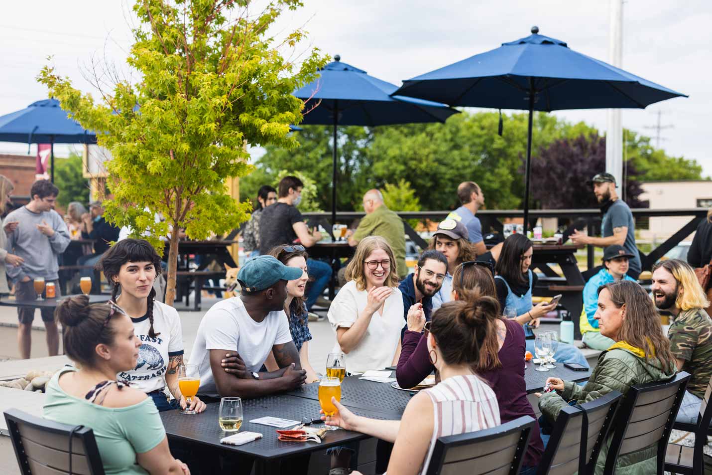 Hardywood Park Craft Brewery