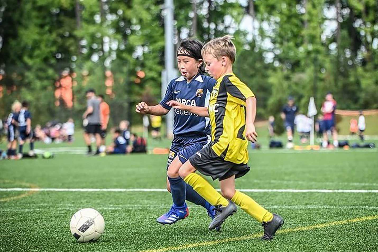 National Clubs Alliance