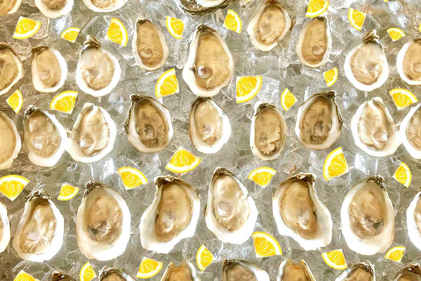 Salty Bottom Blue Oysters