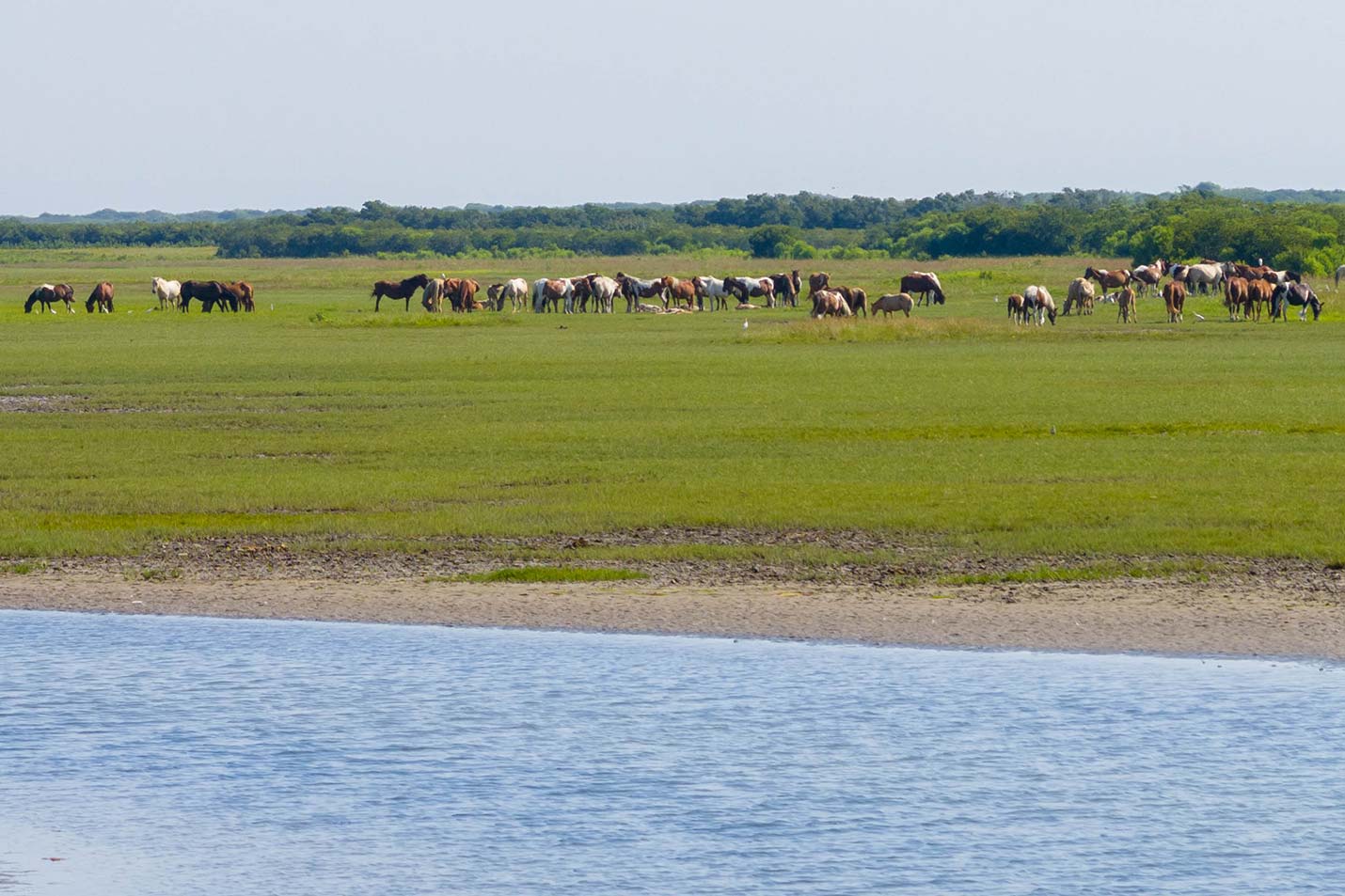 Virginia Tourism Corporation